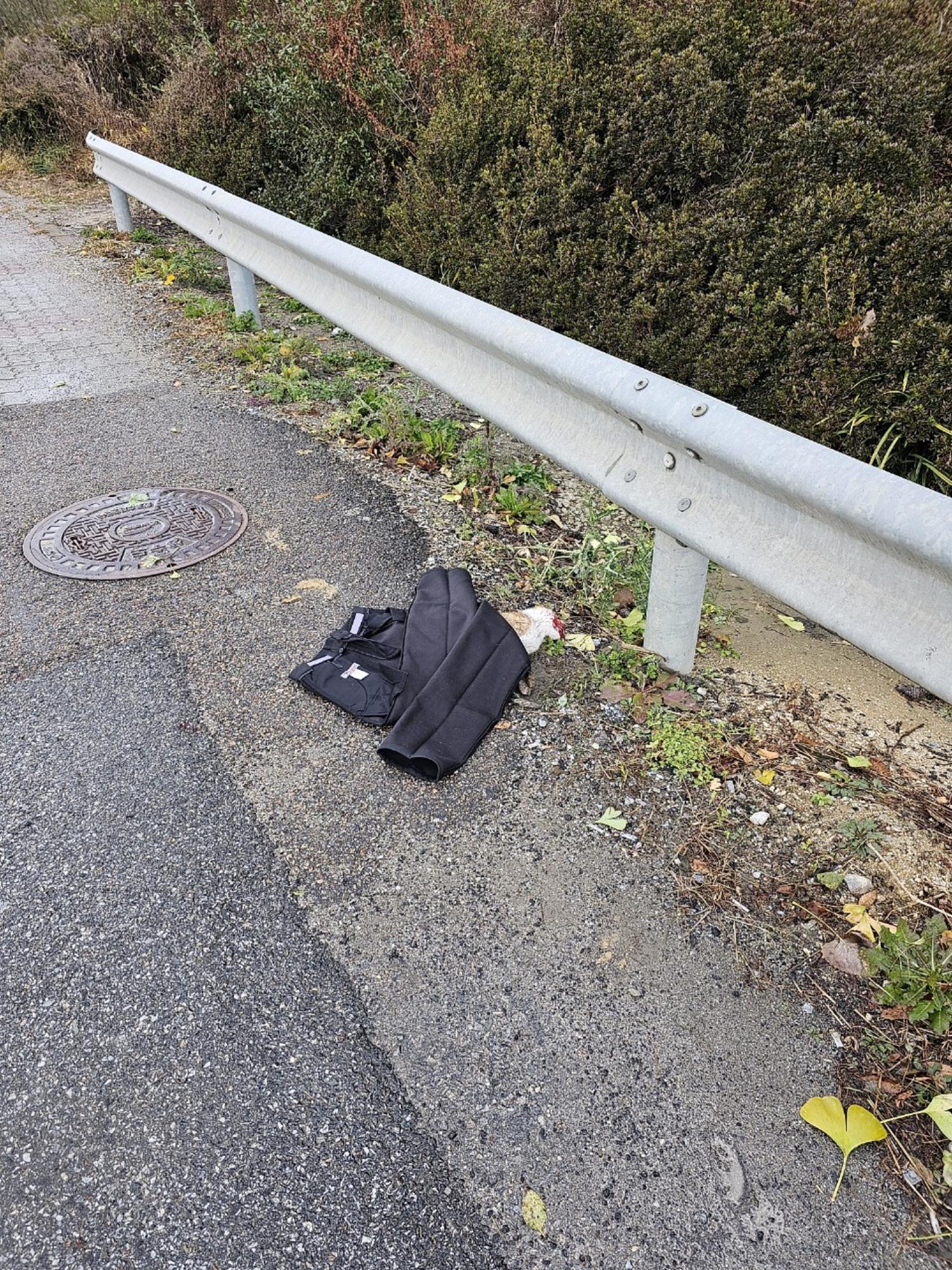 종료(안락사) 믹스…